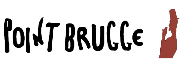 point brugge logo.jpg